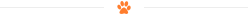 orange-title_underline.png